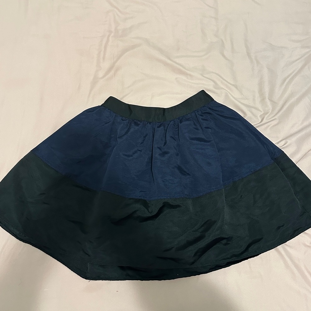 Express Colorblock  Skirt